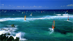 Fond d'écran gratuit de OCEANIE - Hawai numéro 63300